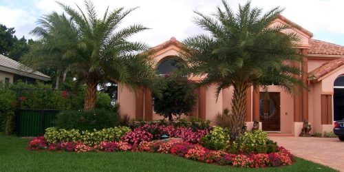 Landscaping Installation, Plant Install