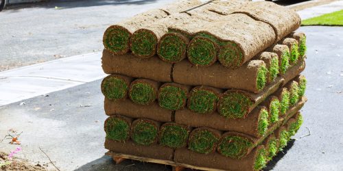 Sod Installation, New Lawn Installation, Sod Installation Contractor, Grass Installation, Free Estimate