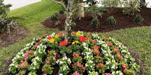 Tropical Landscaping