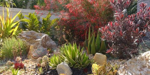 Zeroscaping, Xeriscaping, Landscaping, Free Estimates (4)