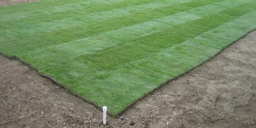 Sod Installation, New Lawn Installation, Sod Installation Contractor, Grass Installation, Free Estimate