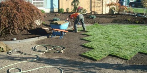 Sod Installation, New Lawn Installation, Sod Installation Contractor, Grass Installation, Free Estimate